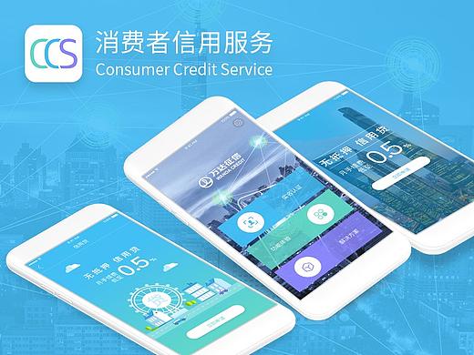 CCS消费者信用服务