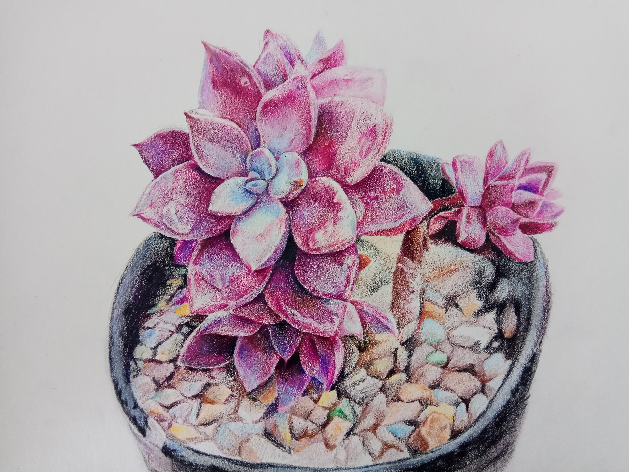 2018年所有彩铅儿童插画绘本合集和部分彩铅植物