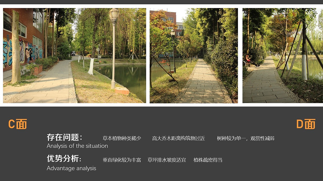 植物配置景观概念营造（图ZMTU0MTc4NzA4） - 景观设计 - 站酷设计师浦霖三顿原创素材 - 站酷ZCOOL