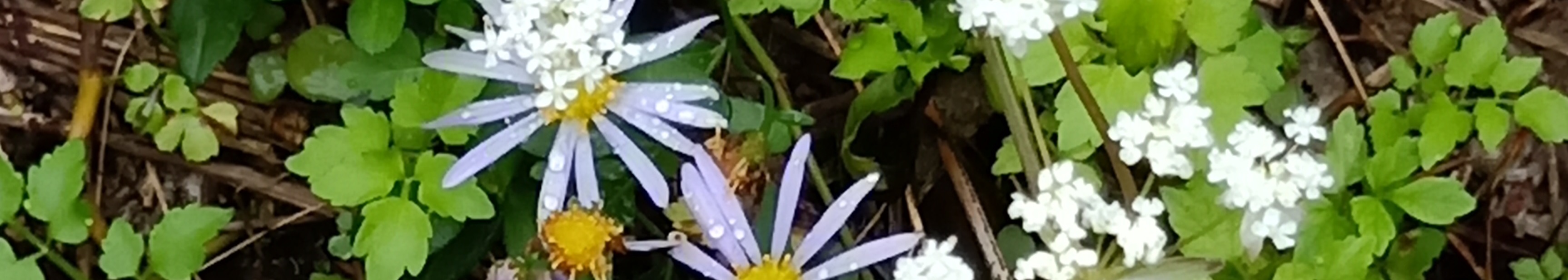 威威妹儿的个人主页（封面预览） - 主页封面设置 - 站酷设计师威威妹儿原创素材 - 站酷ZCOOL