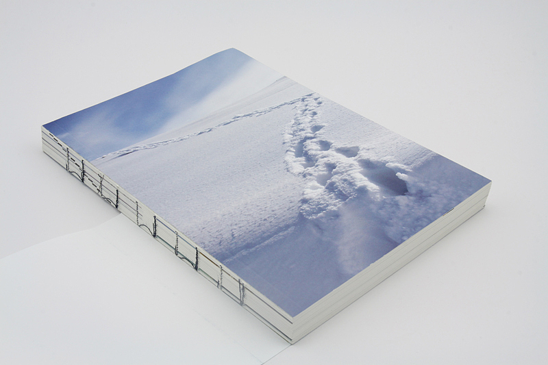 装帧设计1辑（图ZMTU0NzQ5MDA=） - 书籍/画册 - 站酷设计师刘艳南LYN原创素材 - 站酷ZCOOL