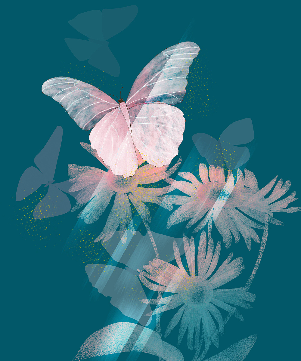 fluttering butterfly|插画|商业插画|炫舞_原创作品-站酷zcool