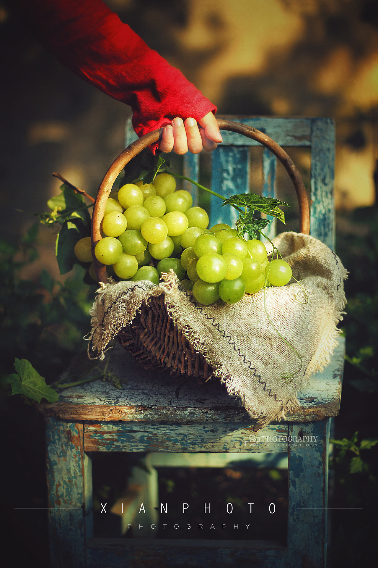 1252第二十六轮约拍##户外森系#|摄影|静物|1252photo - 原创作品