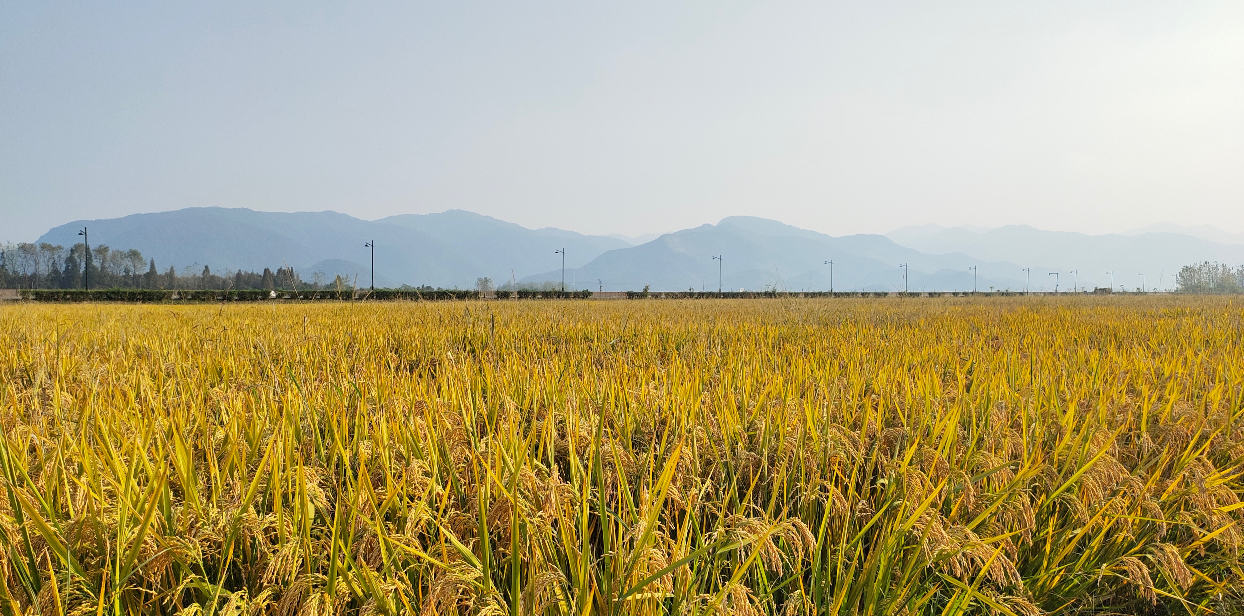 体验设计思的个人主页（封面预览） - 主页封面设置 - 站酷设计师体验设计思原创素材 - 站酷ZCOOL