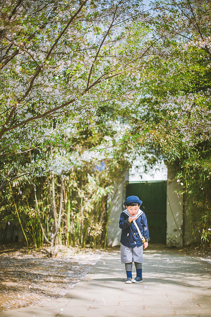 陪我去看樱花雨（图ZMTUzMTk4NzEy） - 人像摄影 - 站酷设计师沐小圆儿杂记原创素材 - 站酷ZCOOL