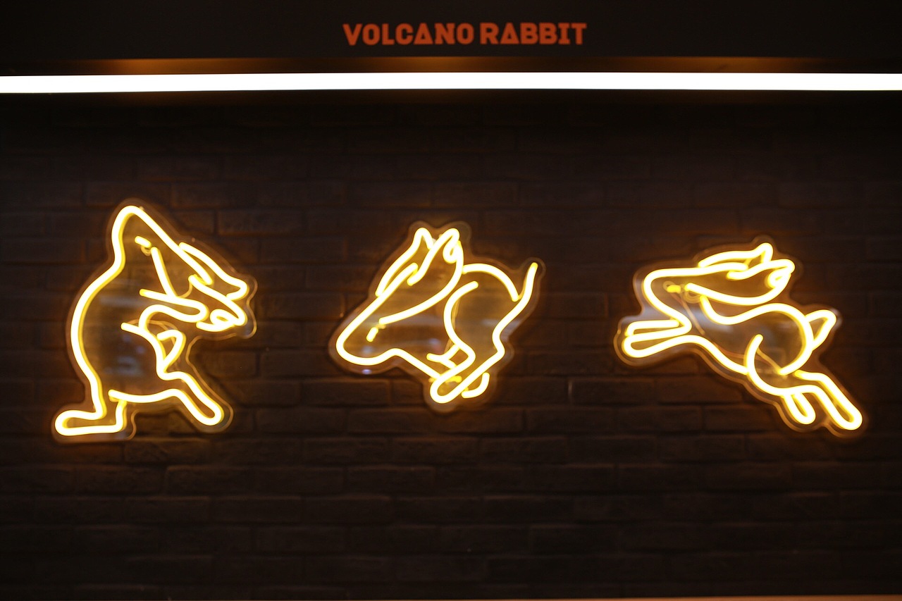 品牌设计 | 火山兔——火锅米线新吃法