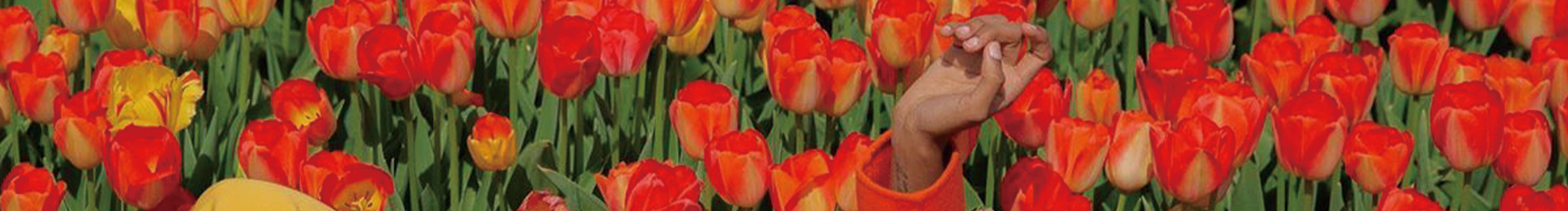 徐小千的个人主页（封面预览） - 主页封面设置 - 站酷设计师徐小千原创素材 - 站酷ZCOOL