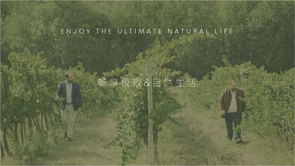 卡贝丹红酒包装（图ZMjM4MDA3Njgw） - 其他工业/产品 - 站酷设计师黄花鱼Blender原创素材 - 站酷ZCOOL