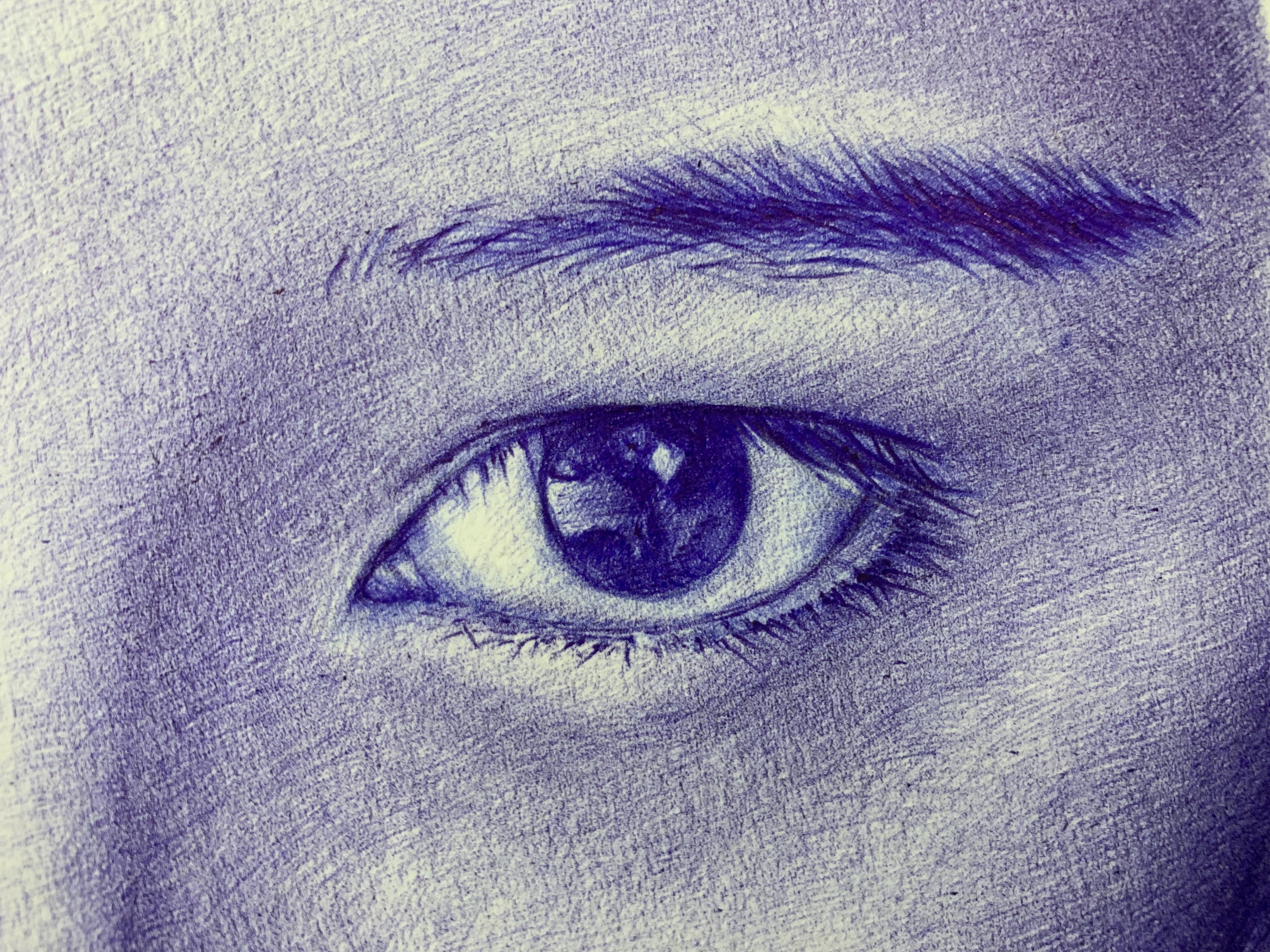 圆珠笔画——少女的眼眸