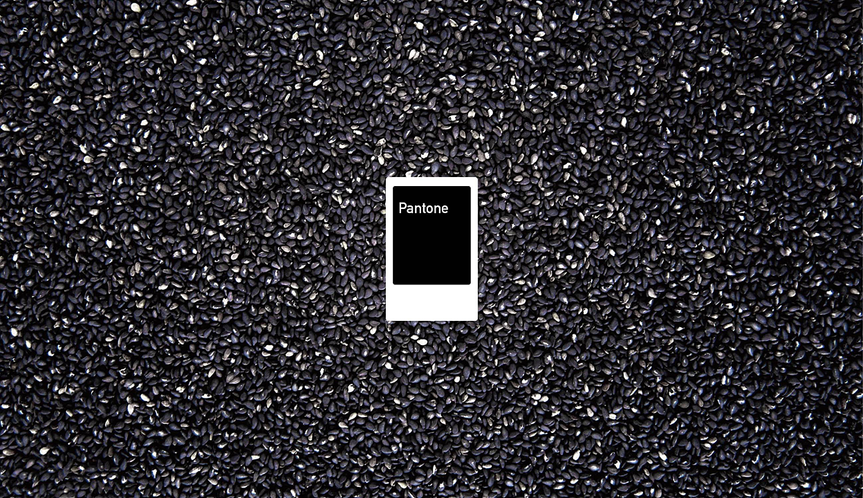 迪士尼黑皮月饼