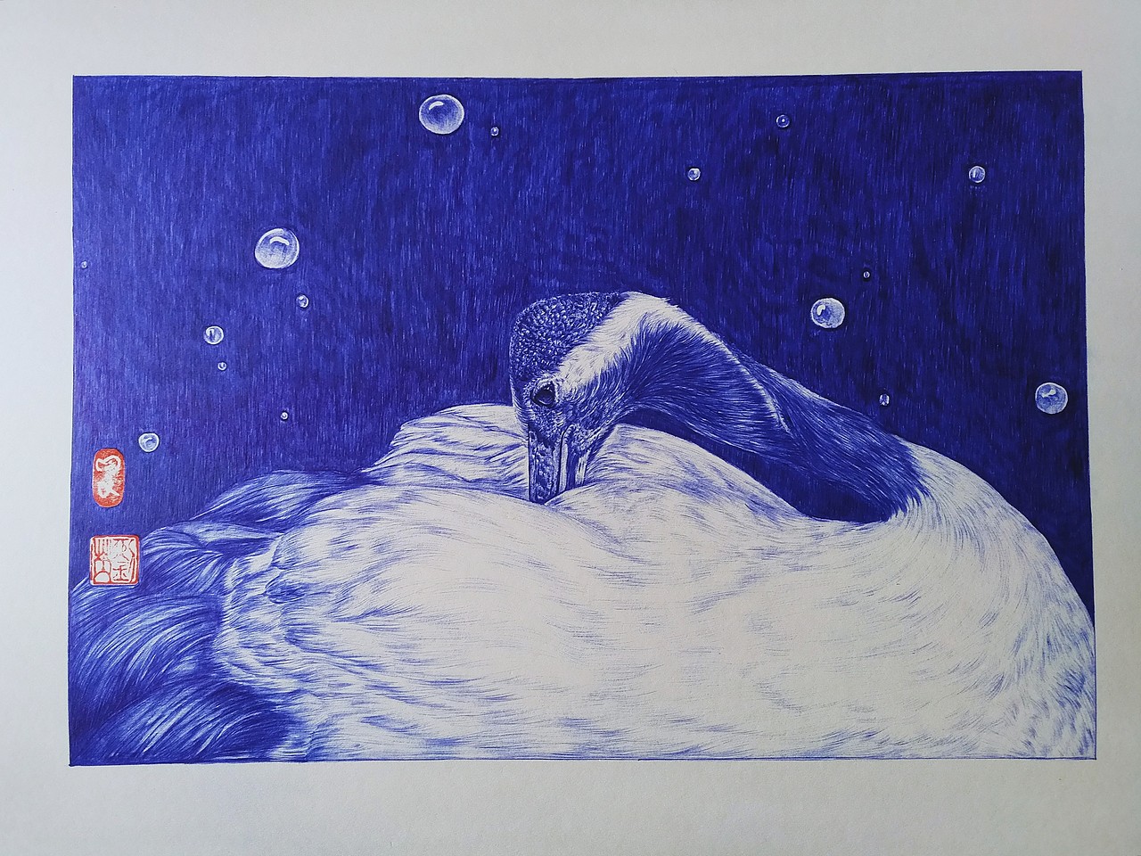 濒危鸟类圆珠笔插画