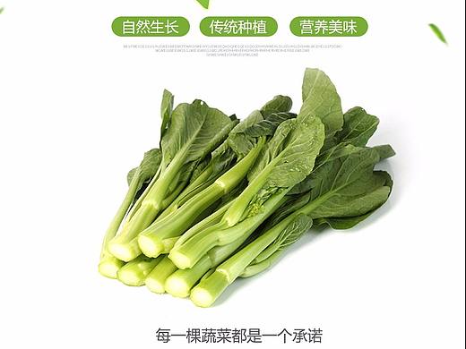 蔬菜详情