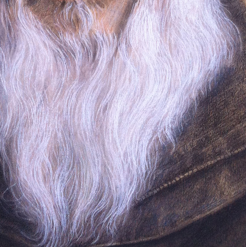 金婚 白胡子爷爷