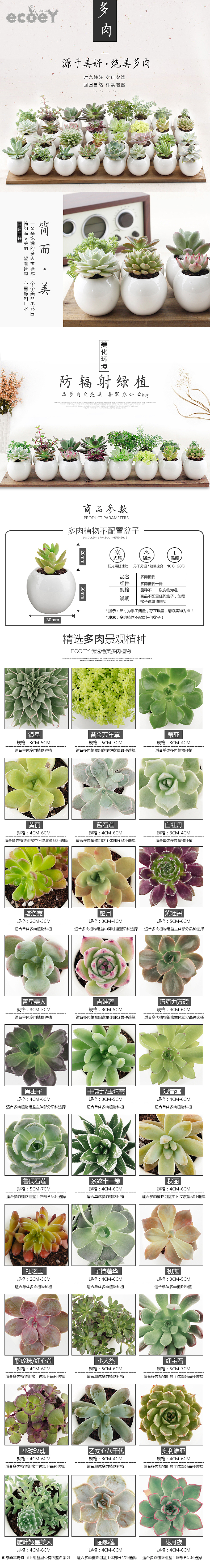 【多肉】天猫淘宝多肉植物小盆栽详情