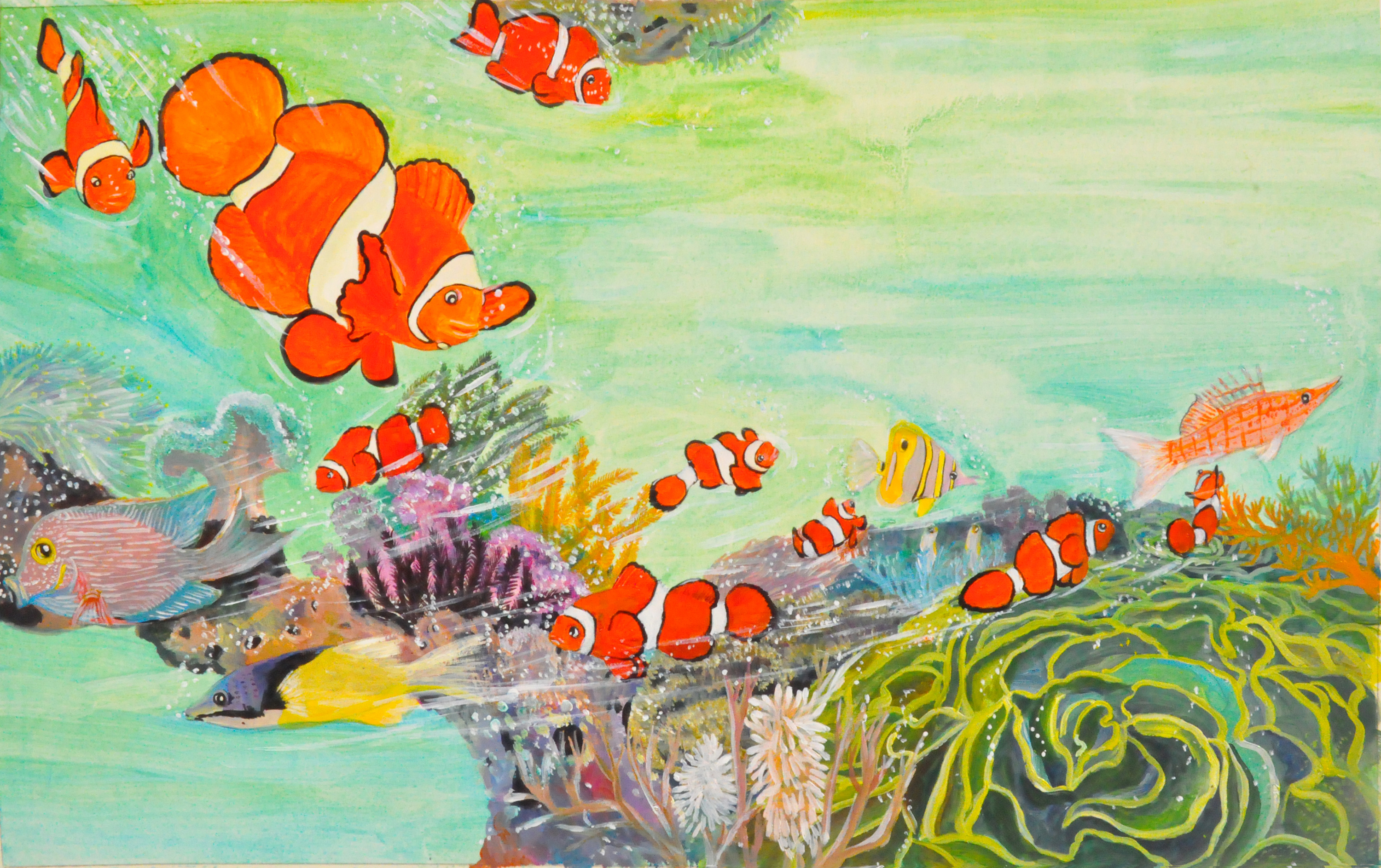 《小丑鱼别跑》中的插画