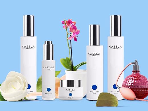 化妆品/包装设计/品牌设计/产品包装设计/卡斯丽伽