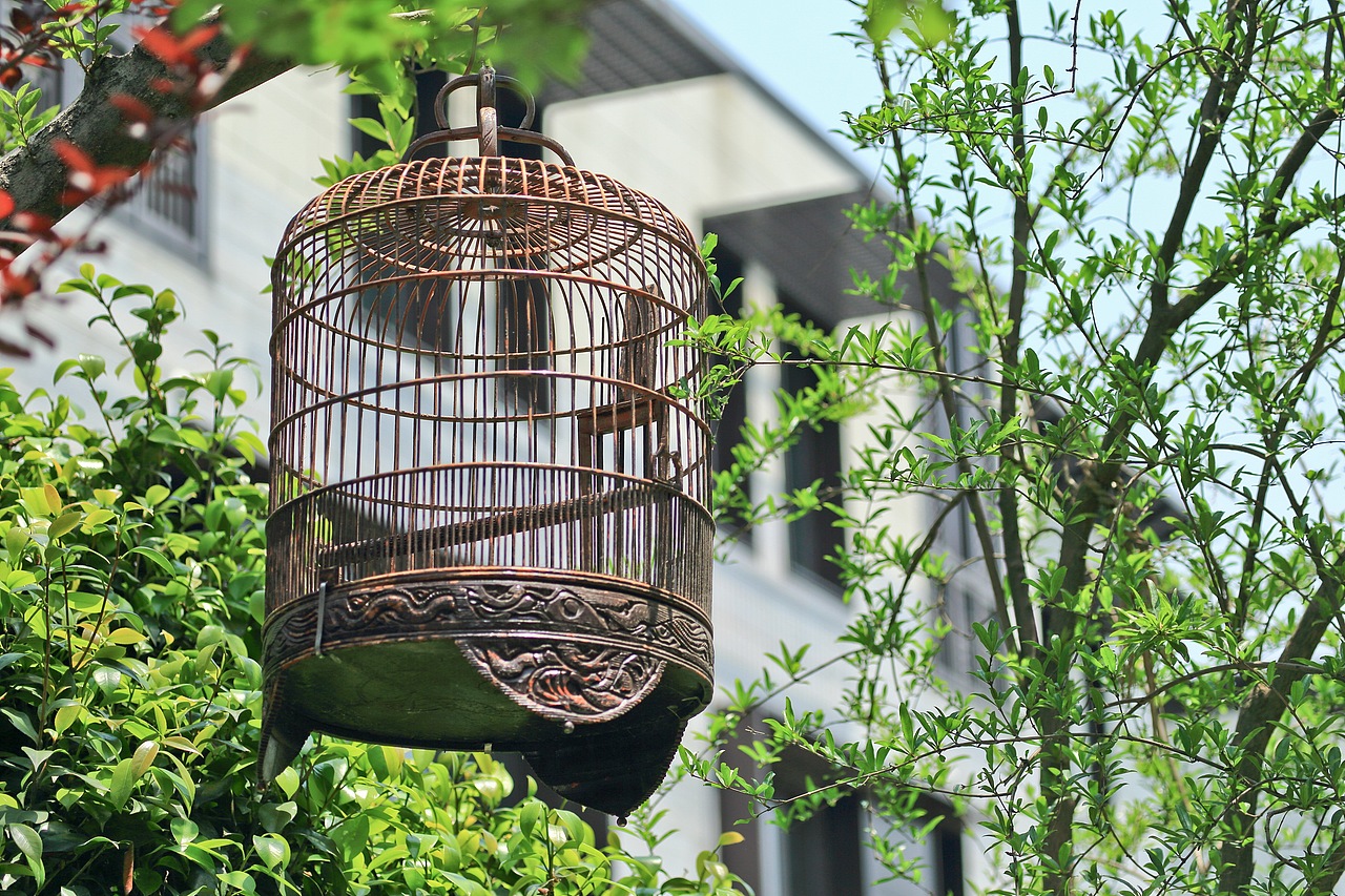 飞扬景观丨上海绿地海域观园