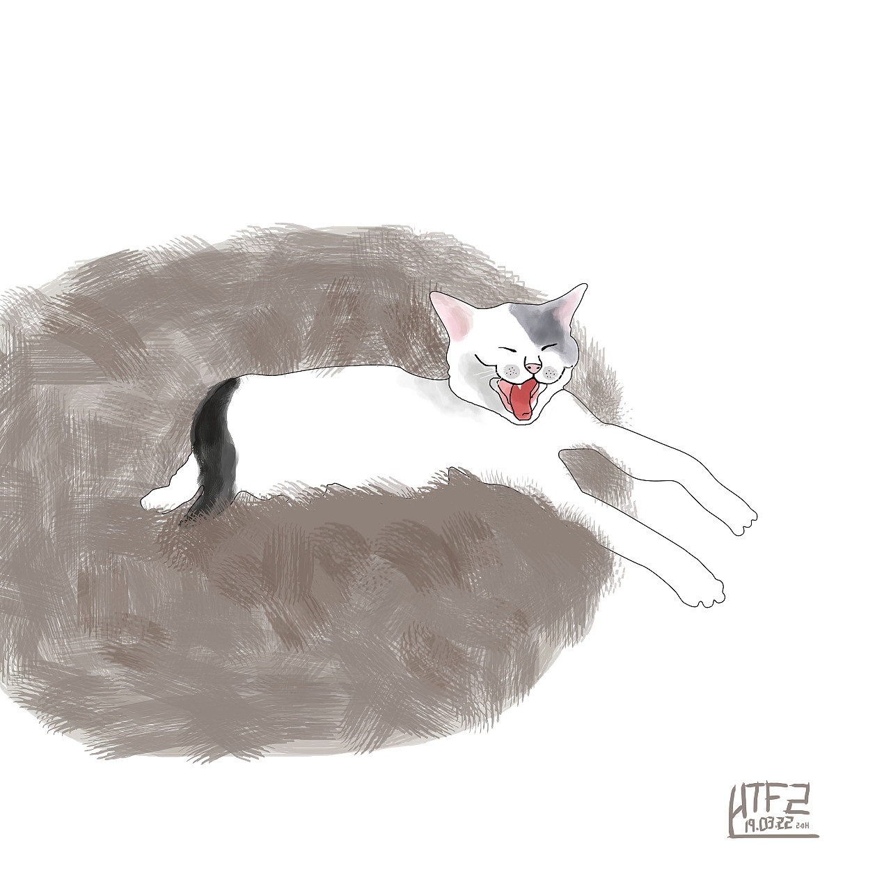 猫咪画像《珍珠》（图ZMTUxMjUwMjQ4） - 创作习作 - 站酷设计师HuiTF2原创素材 - 站酷ZCOOL