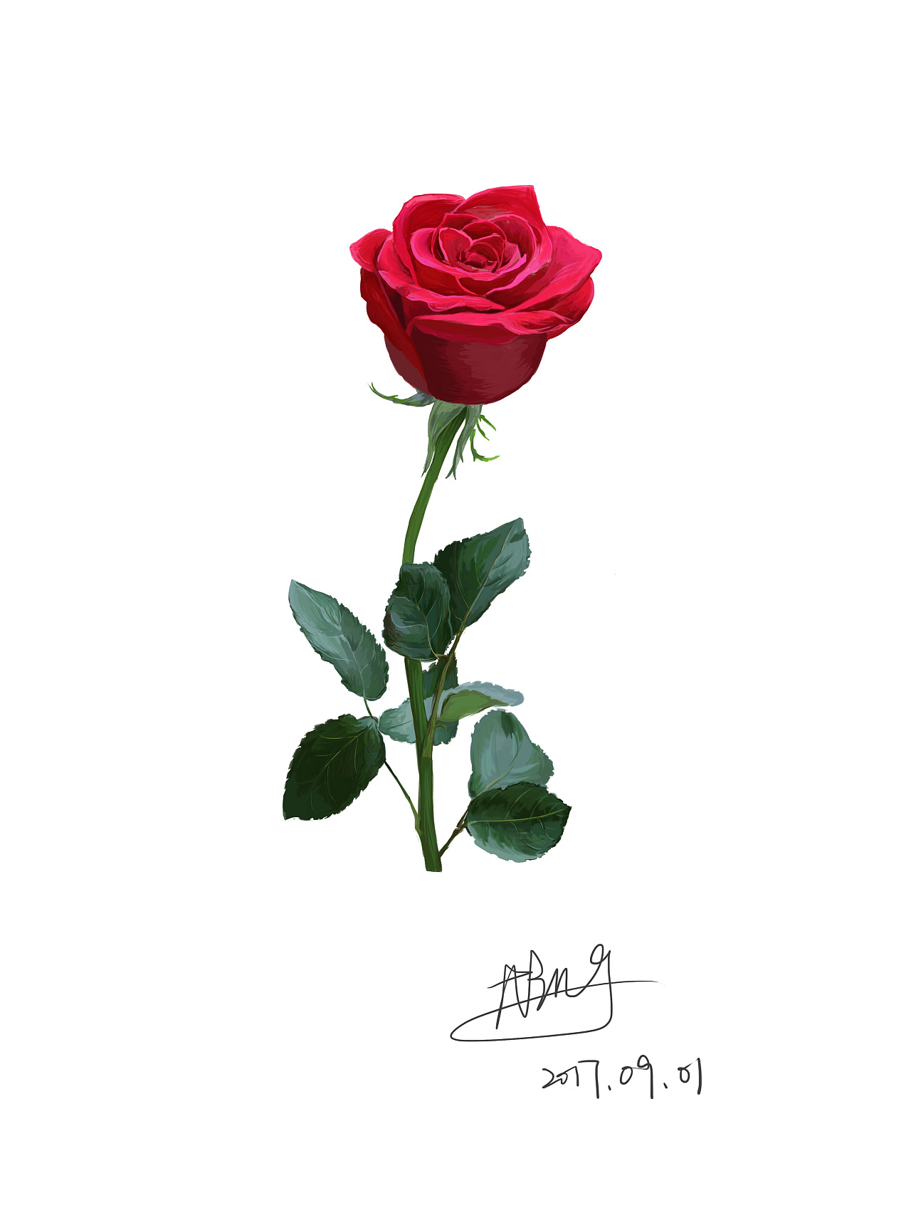 玫瑰花