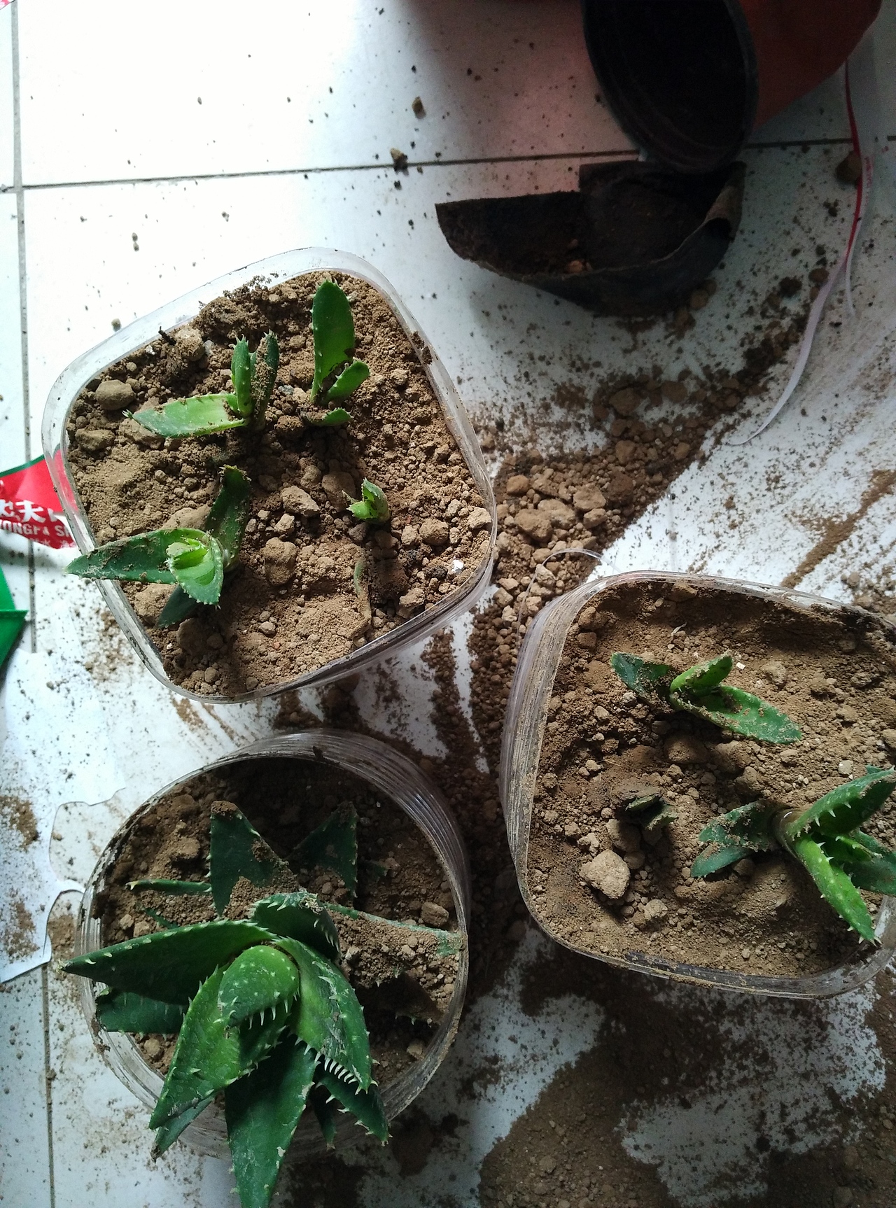 墻角的一景之廢物再利用（圖ZNDY5Nzg1MzY=） - 其他手工藝 - 站酷設(shè)計師惑空原創(chuàng)素材 - 站酷ZCOOL