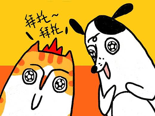 宠物H5长条测试
