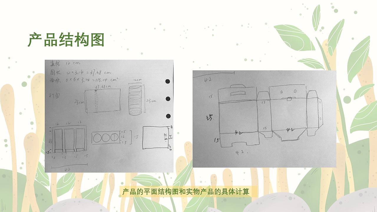 重创华农绿康虫草面包装设计