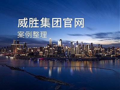  威胜集团项目案例
