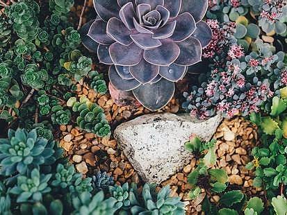 云匠网：揭秘淘宝美工色彩设计不为人知的秘密