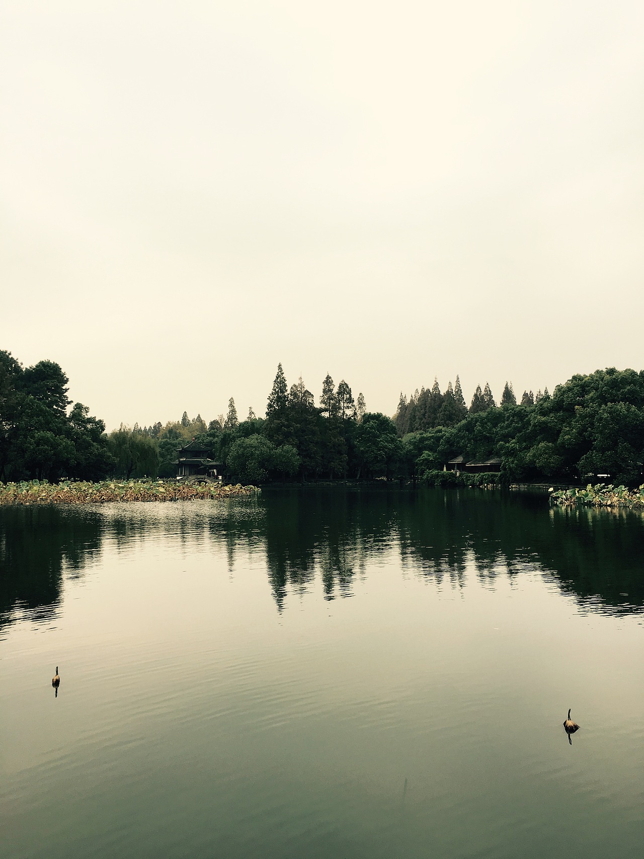 生活随拍（图ZMTA0Mjg5MzI0） - 风光摄影 - 站酷设计师开水馒头原创素材 - 站酷ZCOOL