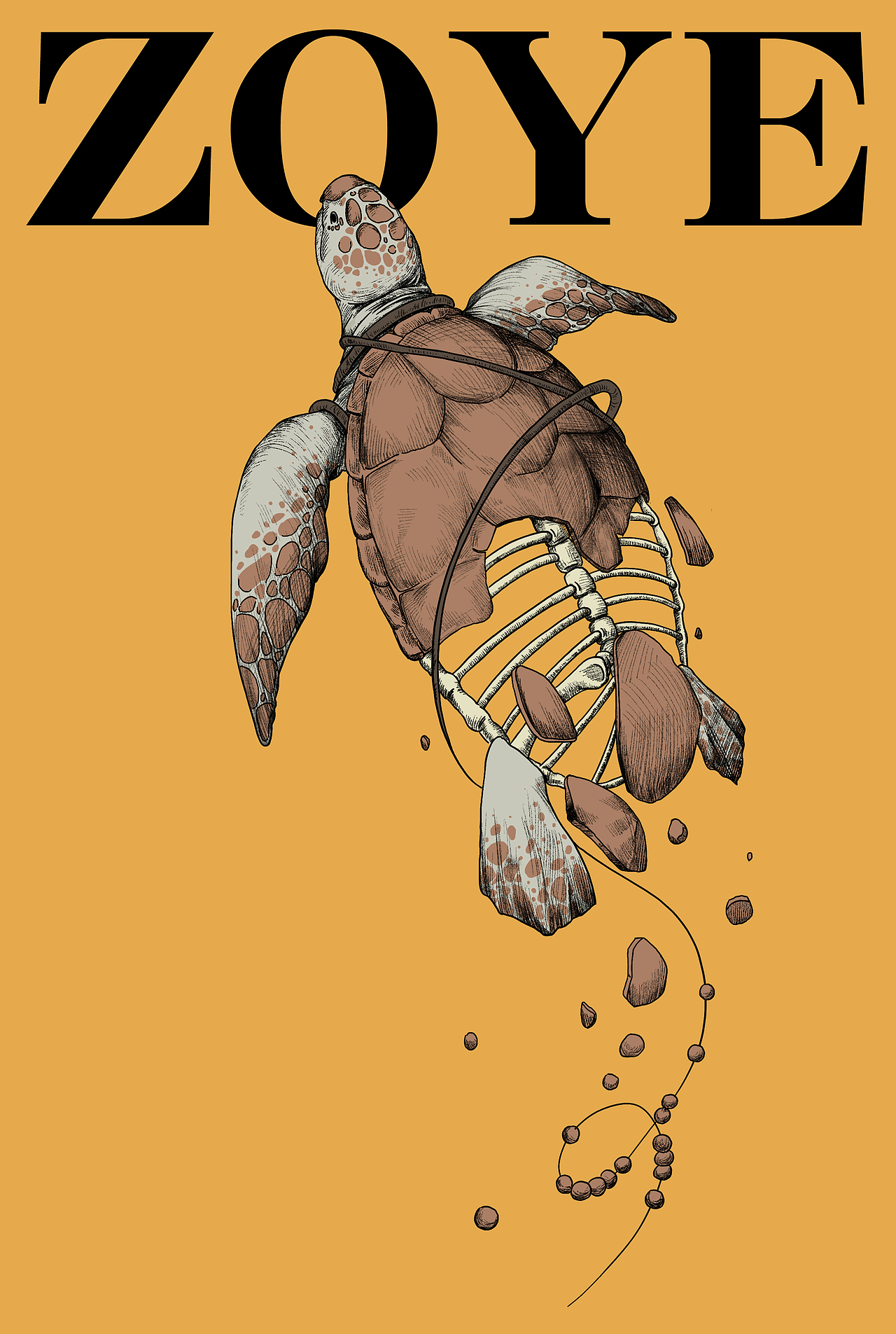 海洋生态公益插画设计