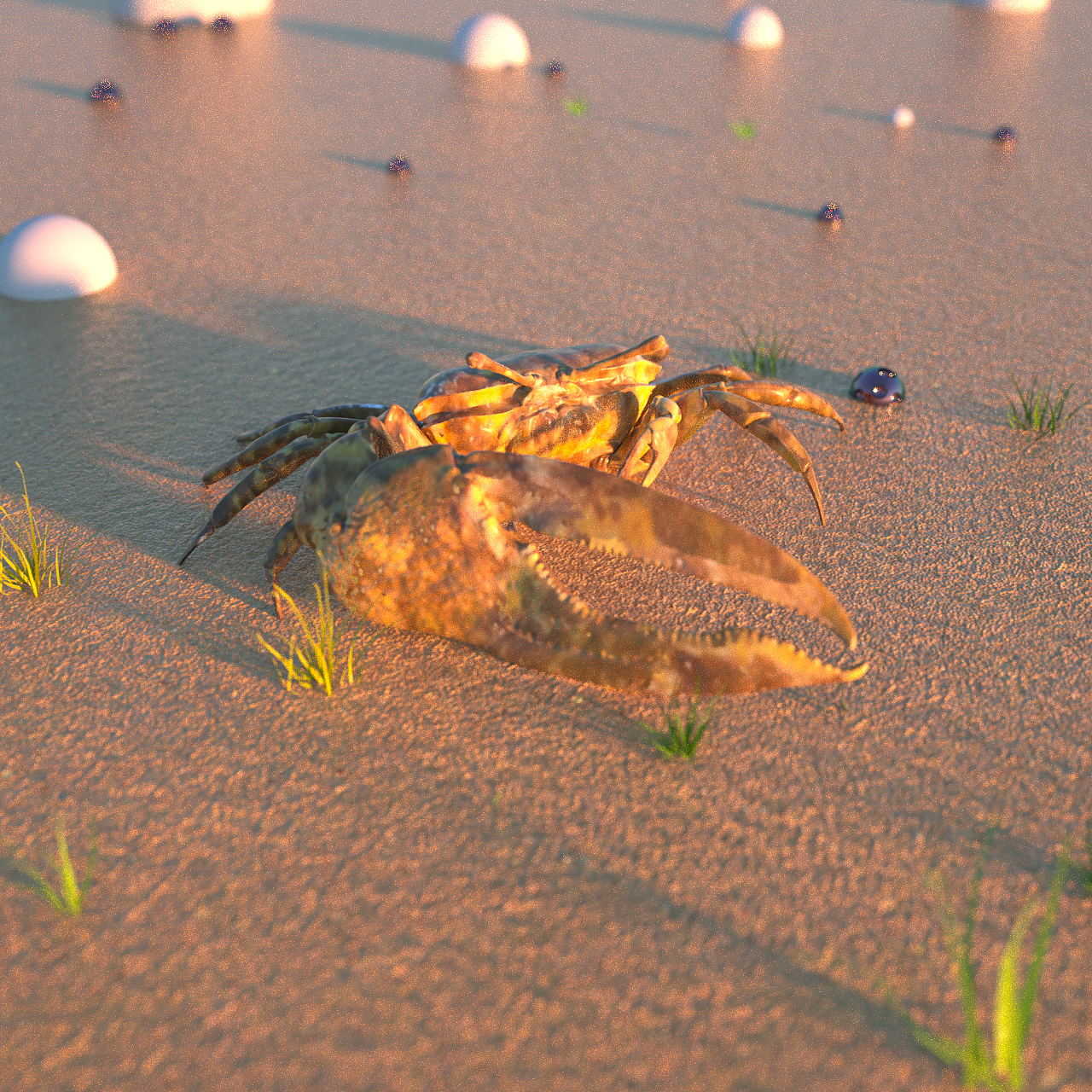 AE+C4D 动画和渲染