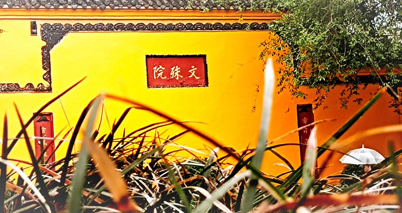 成都文殊院20230411