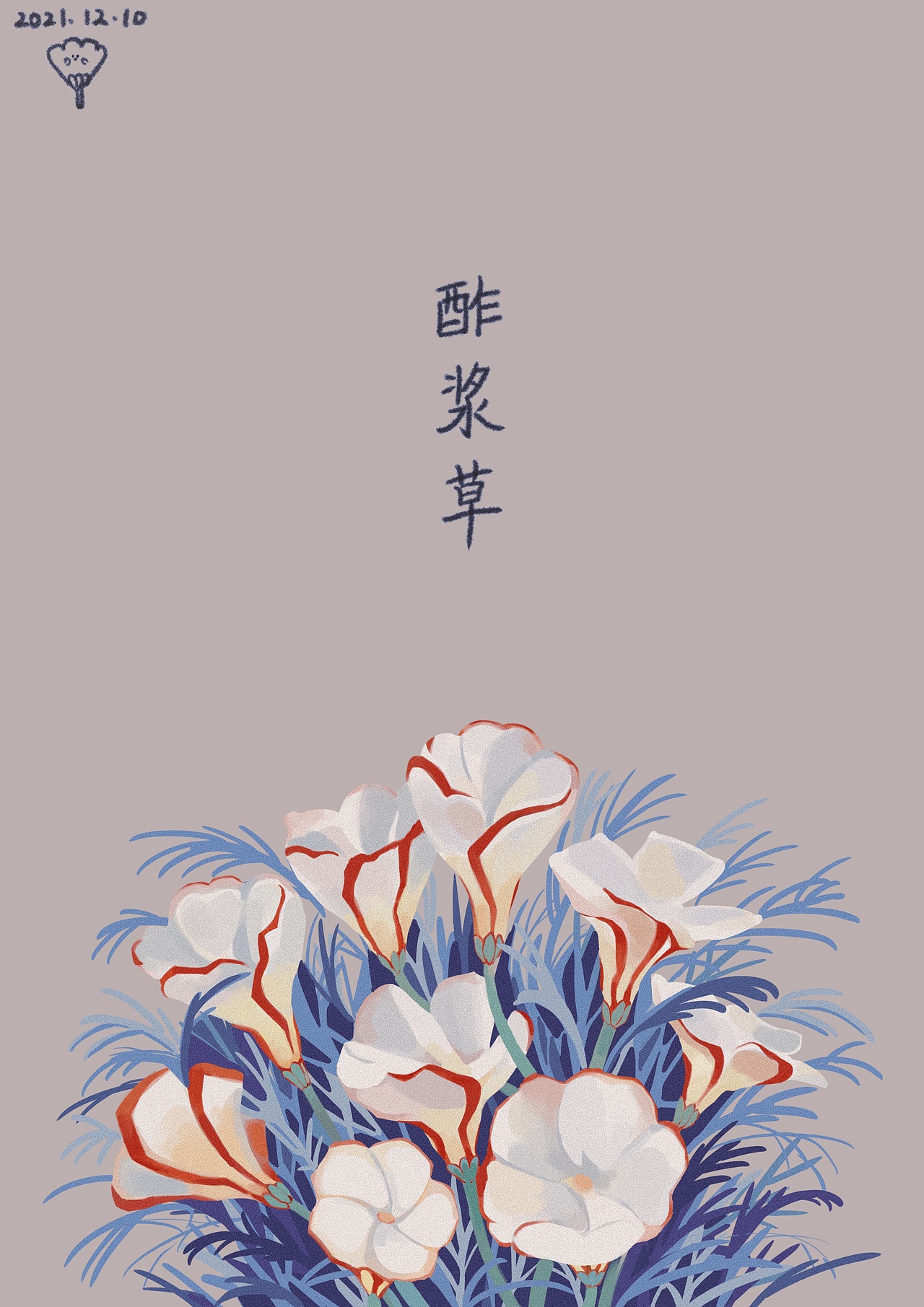植物插画