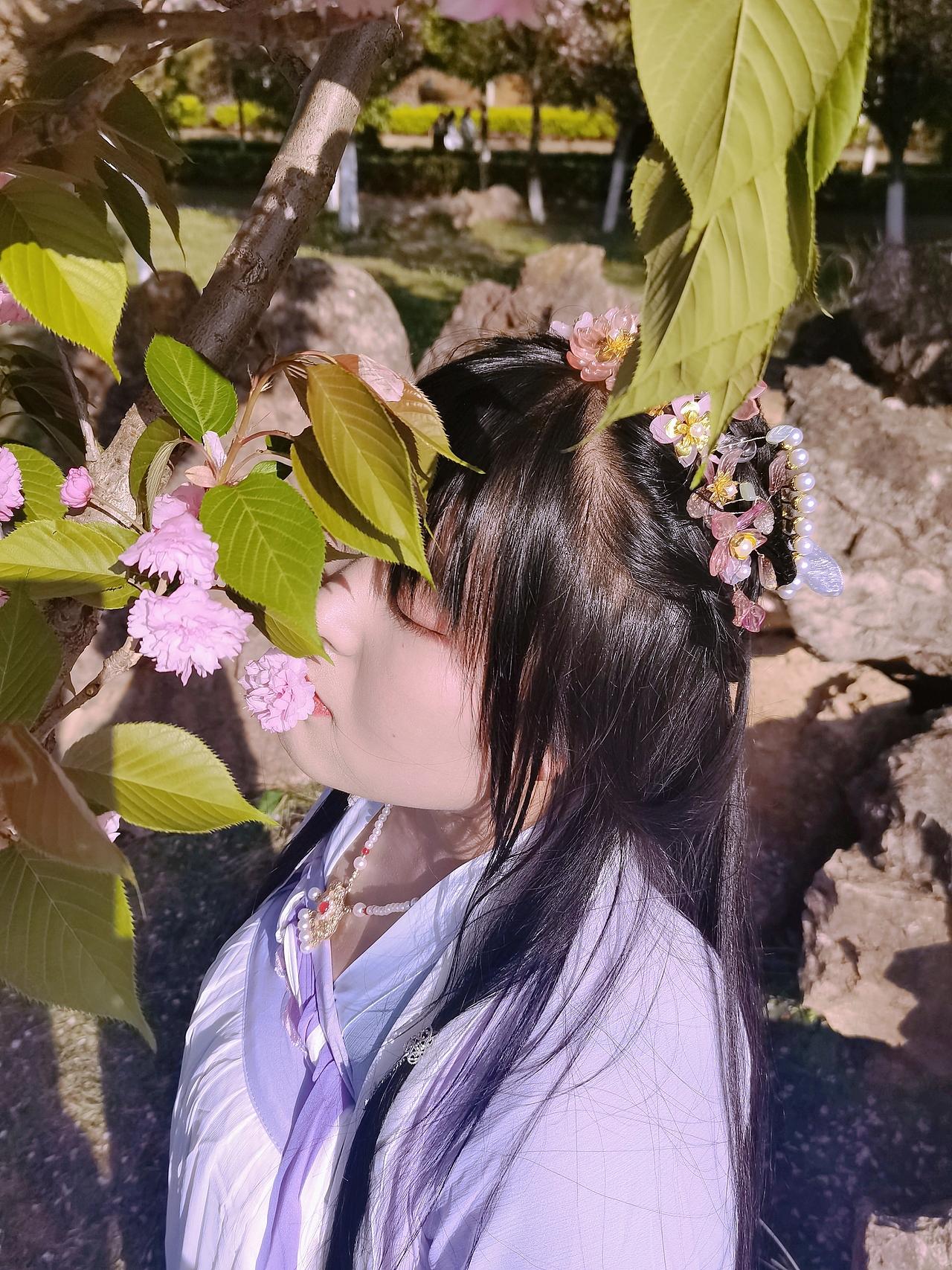 花與少女漢服寫真（圖ZMjk3MzA0OTA4） - 人像攝影 - 站酷設(shè)計(jì)師羅維依依原創(chuàng)素材 - 站酷ZCOOL