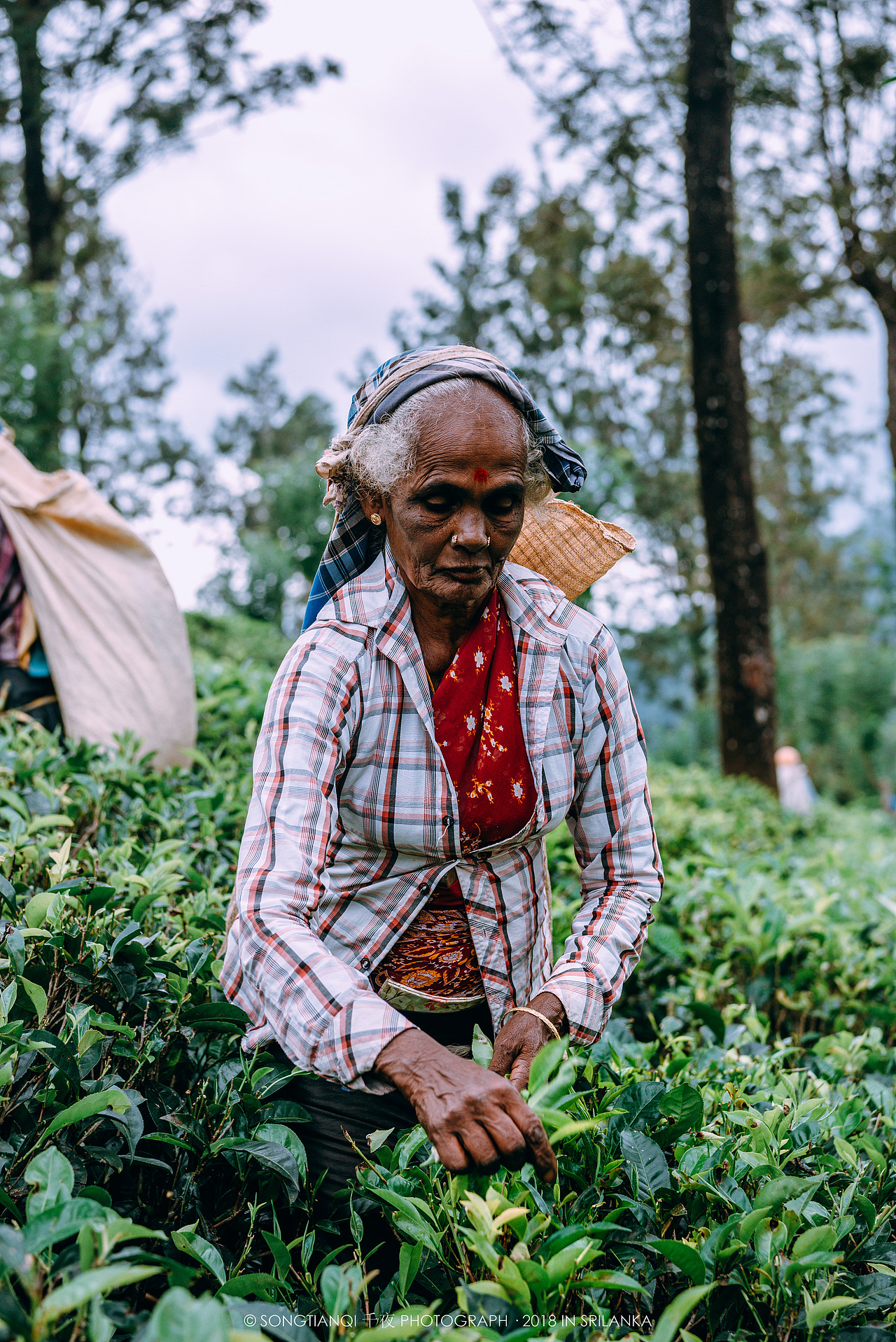 行走在印度洋上的眼泪——斯里兰卡°