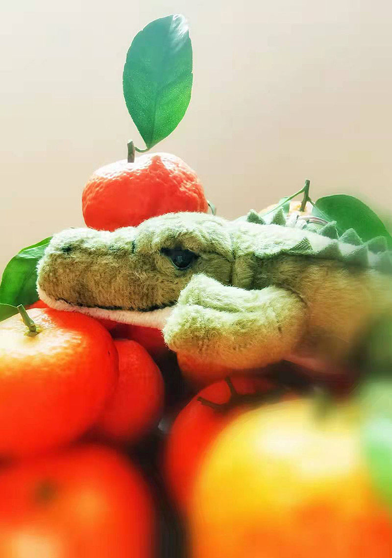 2021年手机摄影总结