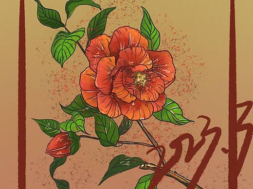 花朵插画
