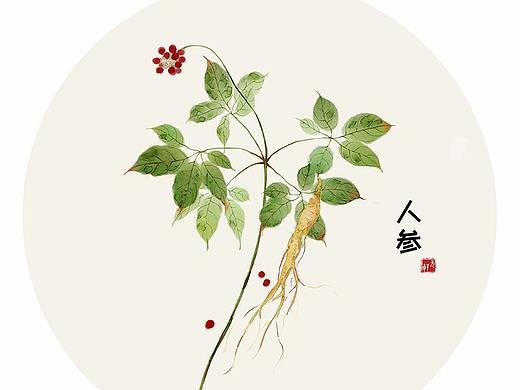 本草