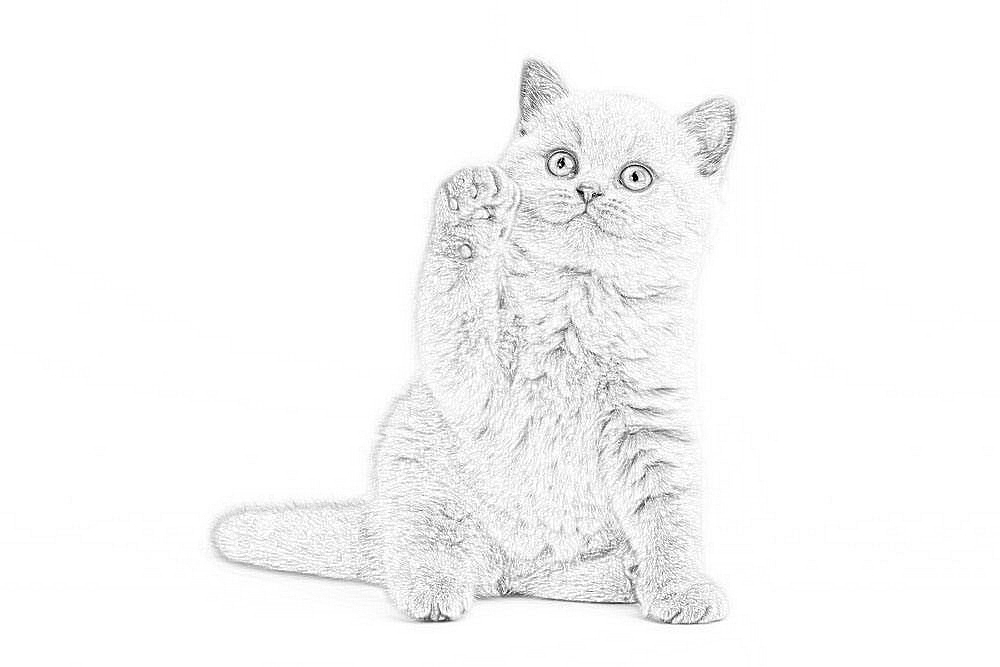 PS素描效果（图ZMTQ4NzA2ODQ0） - 艺术插画 - 站酷设计师M北的城原创素材 - 站酷ZCOOL