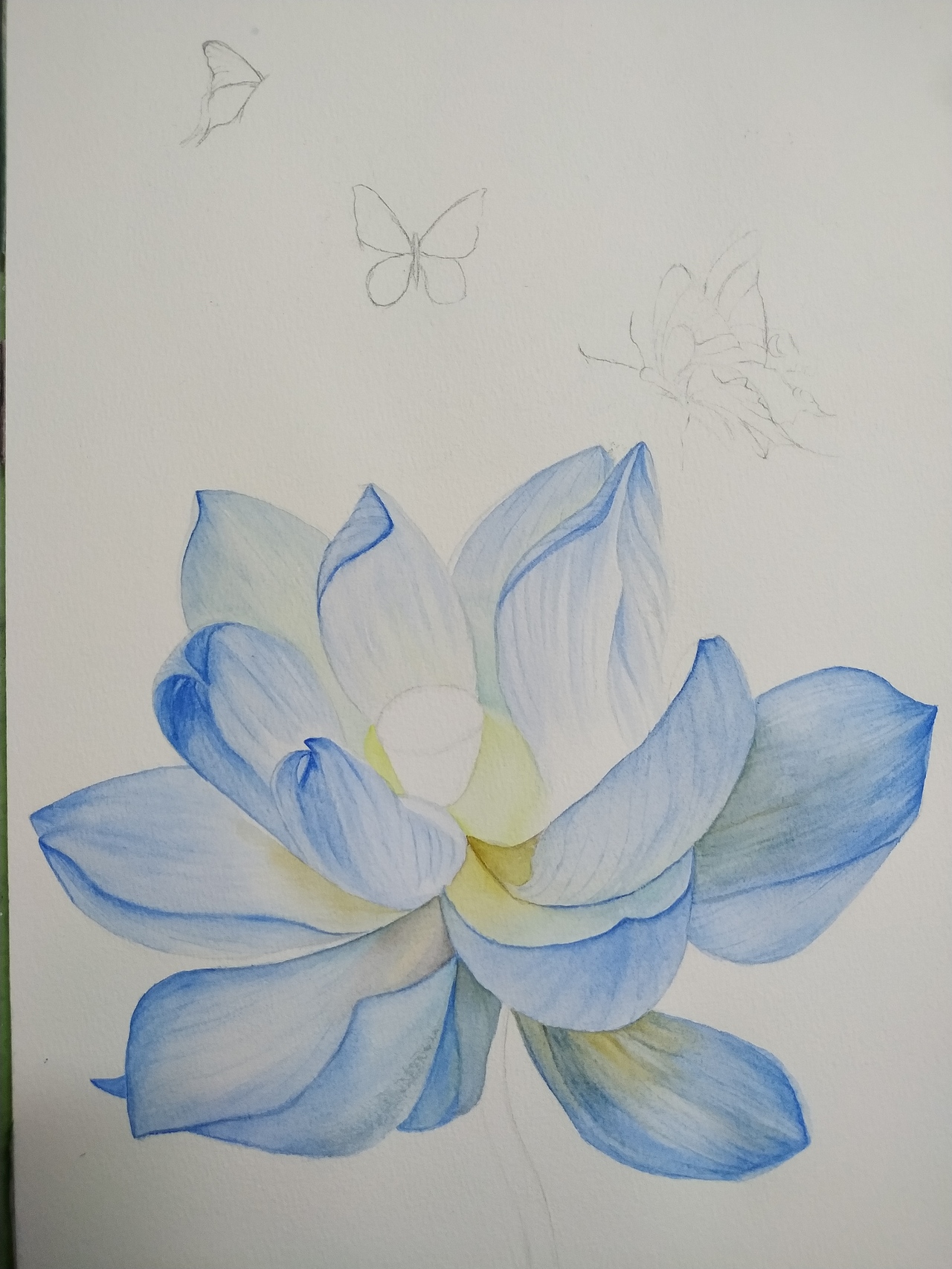 水彩荷花系列之梦幻