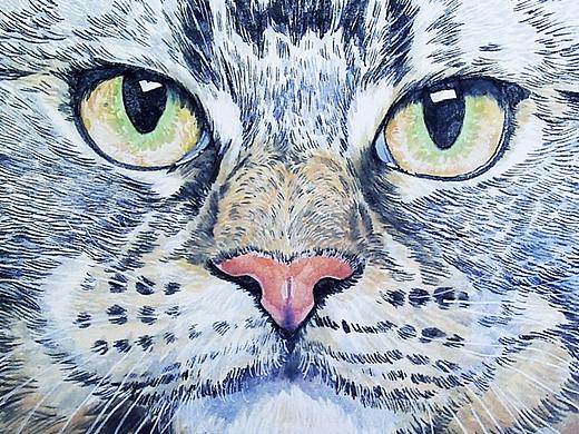 小猫