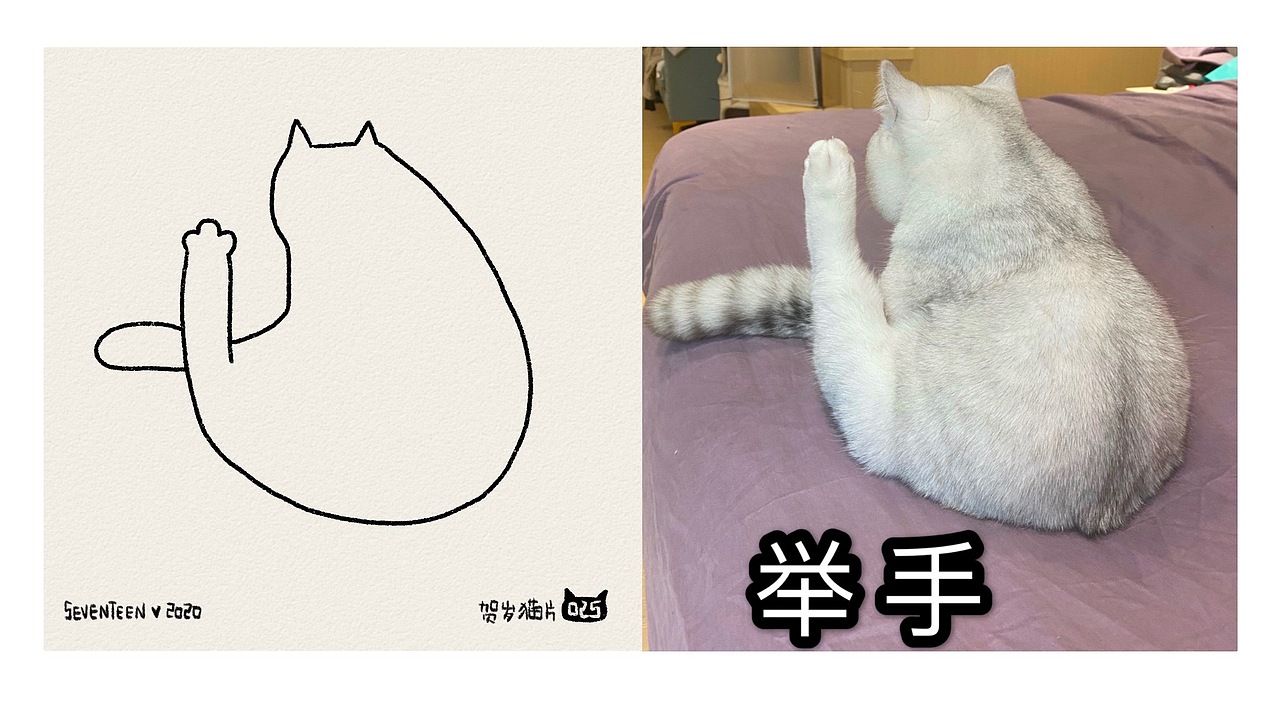 100张贺岁猫片（一）（图ZMTk2MzkyMDIw） - 创作习作 - 站酷设计师Seventeen曲寒冰原创素材 - 站酷ZCOOL