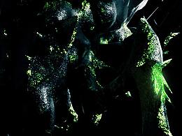 练习-蜘蛛Blender oc练习