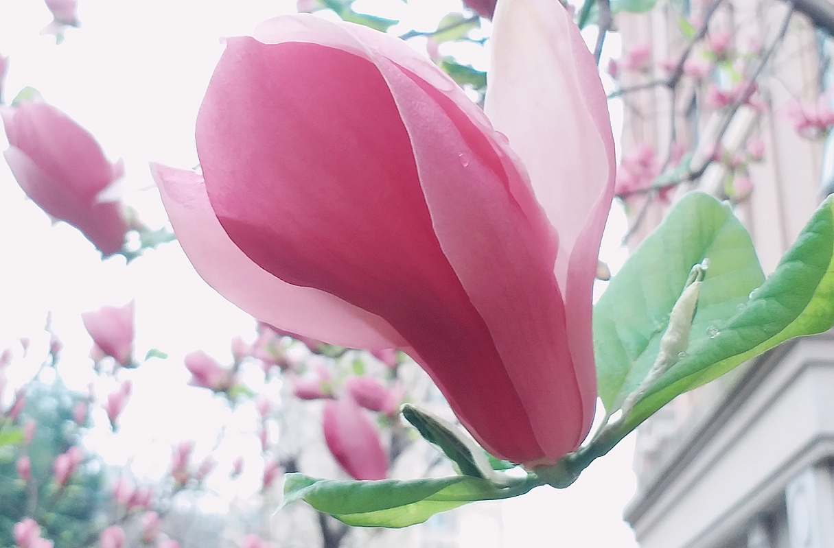 青岛（图ZMTIzMzYyNDQ4） - 风光摄影 - 站酷设计师湖西路十六号原创素材 - 站酷ZCOOL