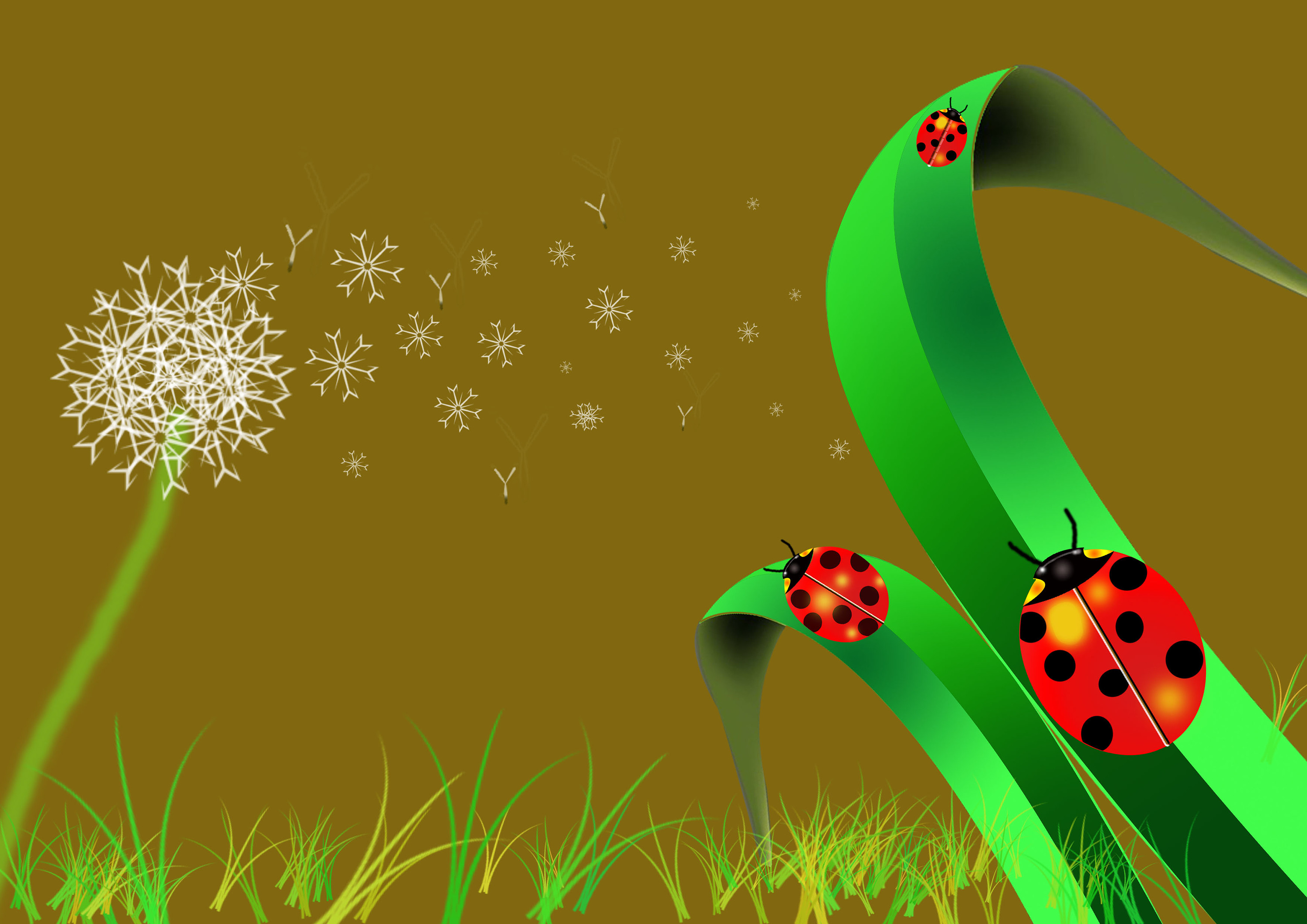 瓢虫|插画|插画习作|shukiy - 原创作品 - 站酷 (zcool)