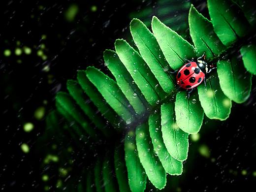 驚蟄（個人主頁-ZNDMxMDc4MTI=） - 海報 - 站酷設(shè)計師ipon原創(chuàng)素材 - 站酷ZCOOL