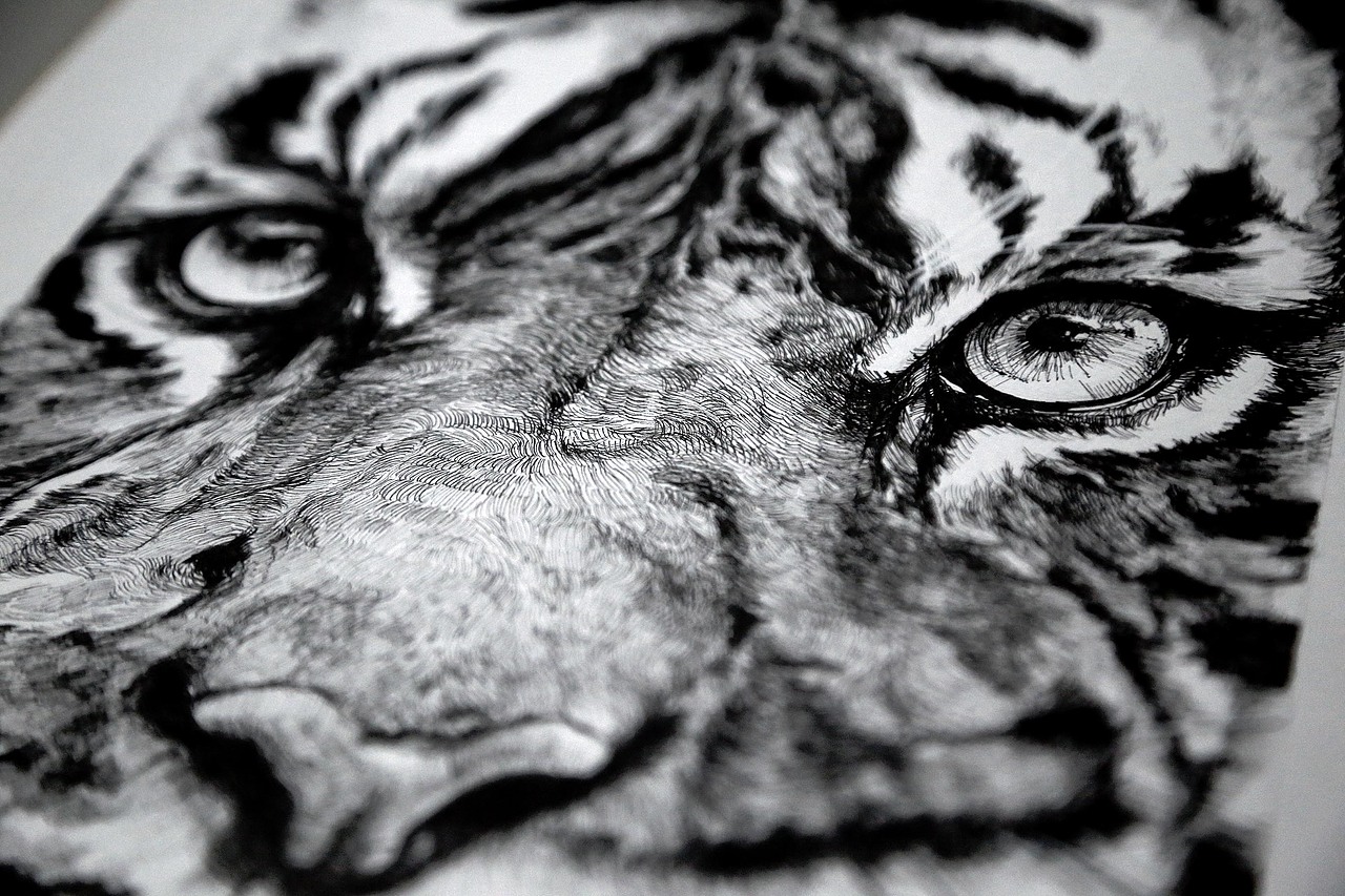 心有猛虎 細嗅薔薇（图ZMjc5MjM2NzI=） - 商业插画 - 站酷设计师Diannnn原创素材 - 站酷ZCOOL