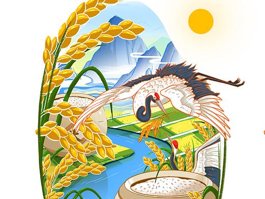 彭蠡泽品牌包装插画