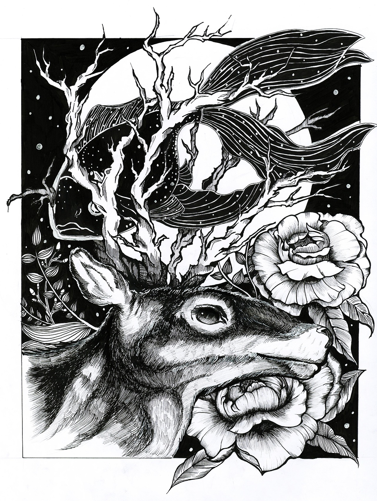 黑白装饰画-动植物题材