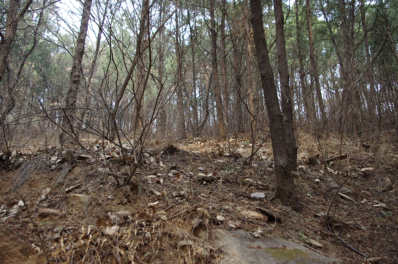 一个册子一个故事